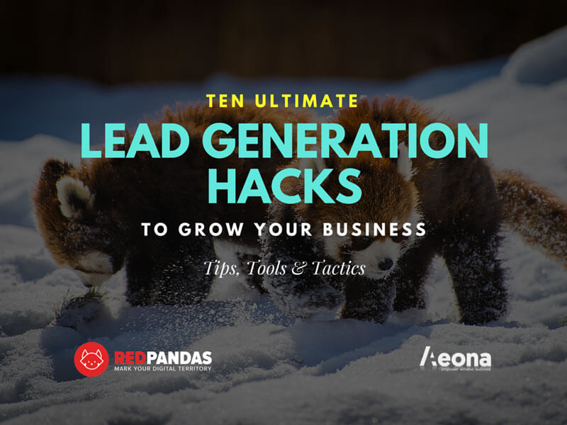 10-lead-generation-hacks-cover-for-in-post