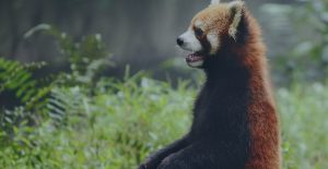 6 reasons to hire an inbound marketing agency