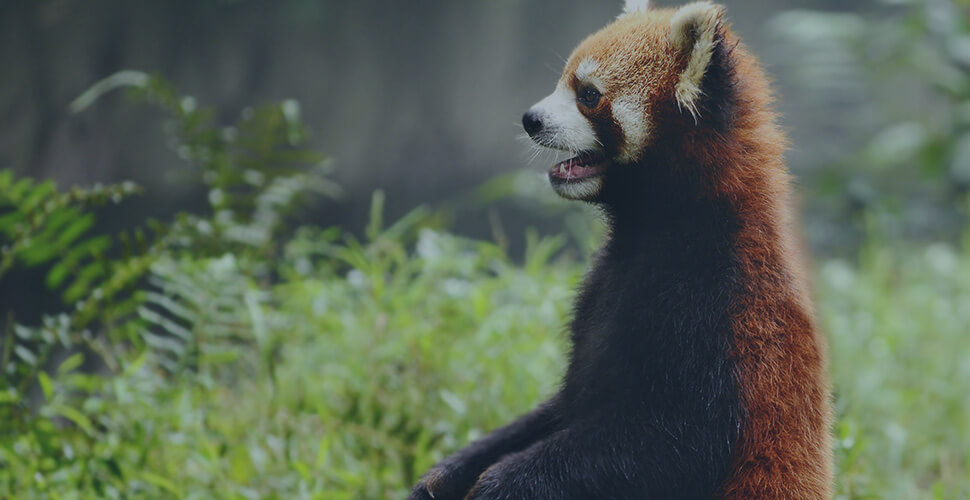 6 reasons to hire an inbound marketing agency