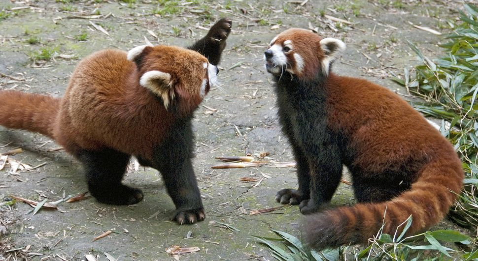 Hiring an Inbound Marketing Agency